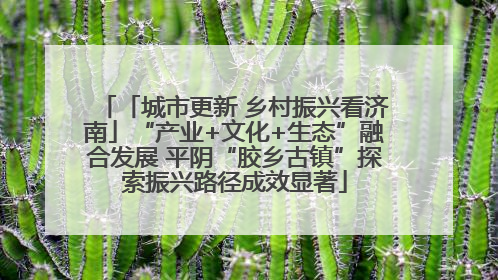 「城市更新 乡村振兴看济南」“产业+文化+生态”融合发展 平阴“胶乡古镇”探索振兴路径成效显著