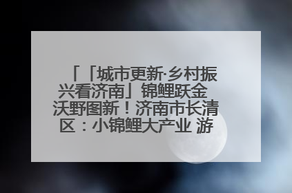 「城市更新·乡村振兴看济南」锦鲤跃金 沃野图新！济南市长清区：小锦鲤大产业 游出农旅新风景