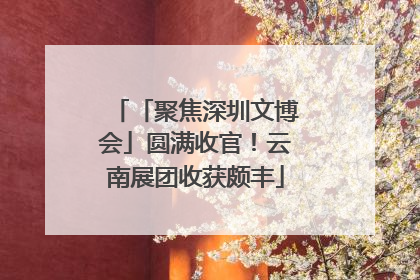 「聚焦深圳文博会」圆满收官！云南展团收获颇丰