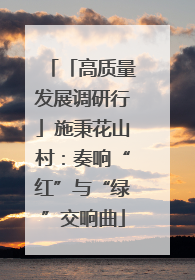 「高质量发展调研行」施秉花山村：奏响“红”与“绿”交响曲