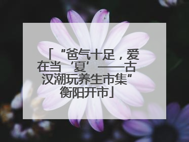 “爸气十足，爱在当‘夏’——古汉潮玩养生市集”衡阳开市