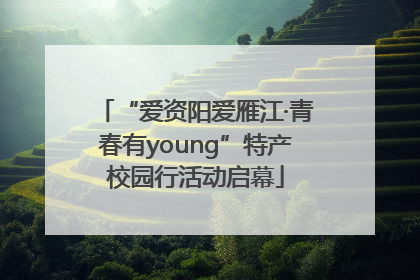 “爱资阳爱雁江·青春有young”特产校园行活动启幕