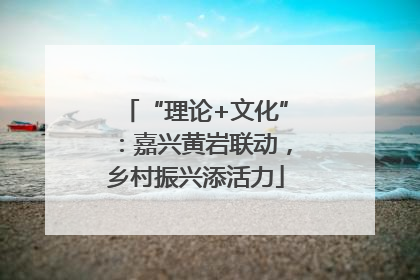 “理论+文化”：嘉兴黄岩联动，乡村振兴添活力