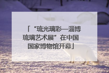 “琉光璃彩—淄博琉璃艺术展”在中国国家博物馆开幕