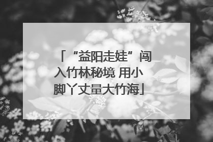 “益阳走娃”闯入竹林秘境 用小脚丫丈量大竹海
