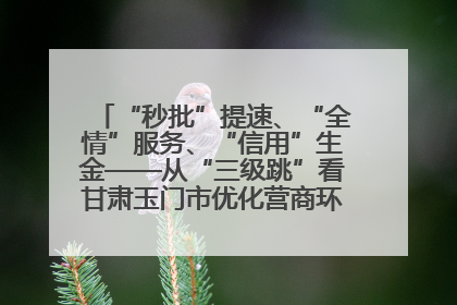 “秒批”提速、“全情”服务、“信用”生金——从“三级跳”看甘肃玉门市优化营商环境的进阶之路