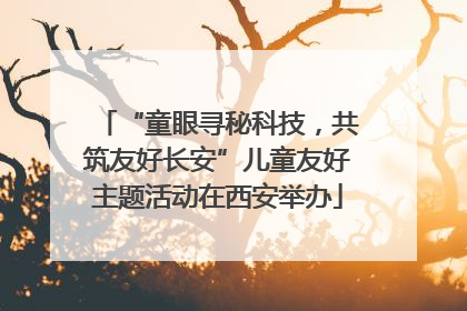 “童眼寻秘科技，共筑友好长安”儿童友好主题活动在西安举办