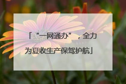 “一网通办”，全力为夏收生产保驾护航
