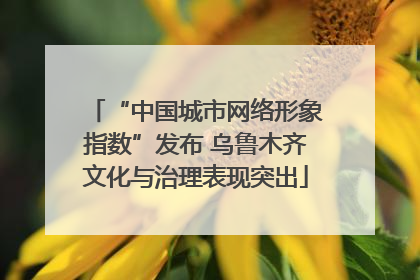 “中国城市网络形象指数”发布 乌鲁木齐文化与治理表现突出