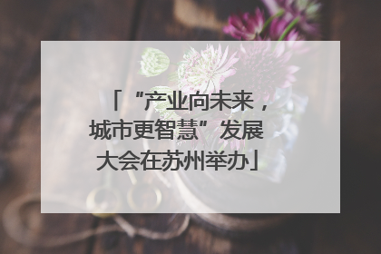 “产业向未来，城市更智慧”发展大会在苏州举办
