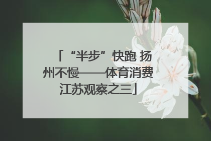 “半步”快跑 扬州不慢——体育消费江苏观察之三