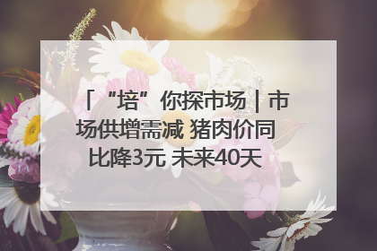 “培”你探市场｜市场供增需减 猪肉价同比降3元 未来40天便宜猪肉敞开吃