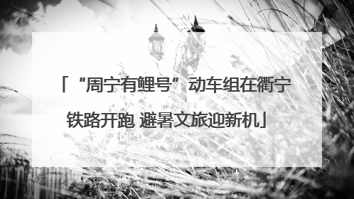 “周宁有鲤号”动车组在衢宁铁路开跑 避暑文旅迎新机