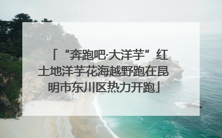 “奔跑吧·大洋芋”红土地洋芋花海越野跑在昆明市东川区热力开跑