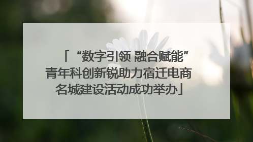 “数字引领 融合赋能”青年科创新锐助力宿迁电商名城建设活动成功举办