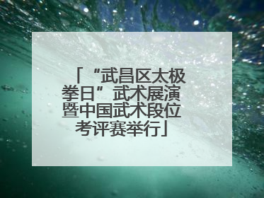 “武昌区太极拳日”武术展演暨中国武术段位考评赛举行