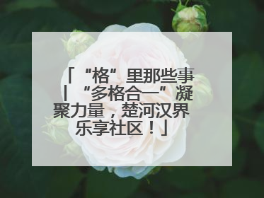 “格”里那些事丨“多格合一”凝聚力量，楚河汉界乐享社区！