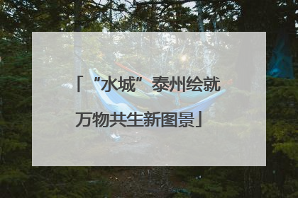 “水城”泰州绘就万物共生新图景
