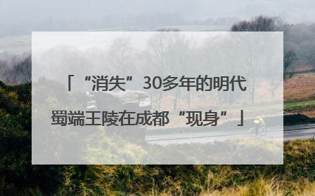 “消失”30多年的明代蜀端王陵在成都“现身”