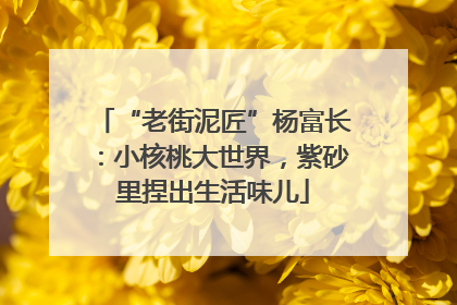 “老街泥匠”杨富长：小核桃大世界，紫砂里捏出生活味儿