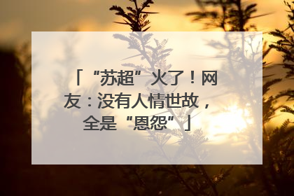 “苏超”火了！网友：没有人情世故，全是“恩怨”