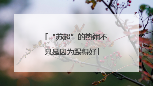 “苏超”的热闹不只是因为踢得好