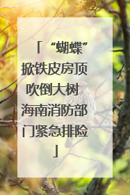 “蝴蝶”掀铁皮房顶吹倒大树 海南消防部门紧急排险