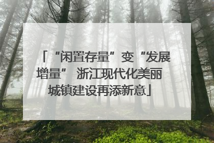 “闲置存量”变“发展增量” 浙江现代化美丽城镇建设再添新意