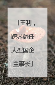 王利，跨界调任大型国企董事长