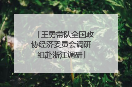 王勇带队全国政协经济委员会调研组赴浙江调研