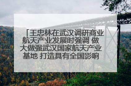 王忠林在武汉调研商业航天产业发展时强调 做大做强武汉国家航天产业基地 打造具有全国影响力的“中国星谷”