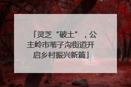 灵芝“破土”，公主岭市苇子沟街道开启乡村振兴新篇