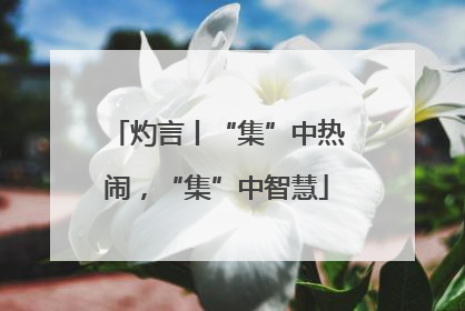 灼言丨“集”中热闹，“集”中智慧