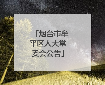 烟台市牟平区人大常委会公告