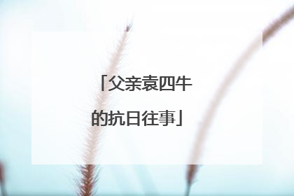 父亲袁四牛的抗日往事