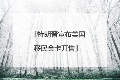 特朗普宣布美国移民金卡开售