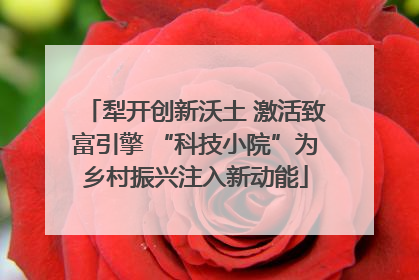 犁开创新沃土 激活致富引擎 “科技小院”为乡村振兴注入新动能