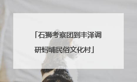 石狮考察团到丰泽调研蟳埔民俗文化村
