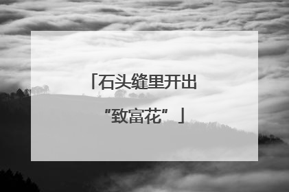 石头缝里开出“致富花”