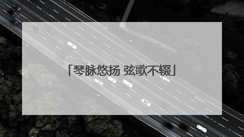 琴脉悠扬 弦歌不辍
