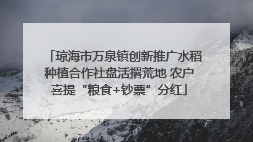 琼海市万泉镇创新推广水稻种植合作社盘活撂荒地 农户喜提“粮食+钞票”分红