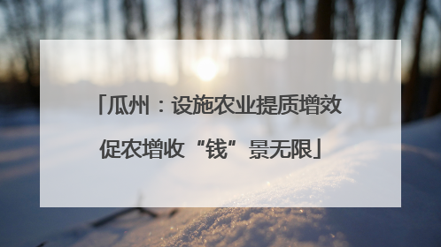 瓜州：设施农业提质增效 促农增收“钱”景无限