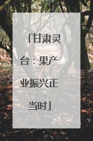 甘肃灵台：果产业振兴正当时