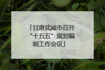 甘肃武威市召开“十五五”规划编制工作会议