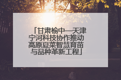 甘肃榆中—天津宁河科技协作推动高原夏菜智慧育苗与品种革新工程