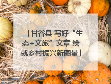甘谷县 写好“生态+文旅”文章 绘就乡村振兴新图景