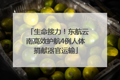生命接力！东航云南高效护航4例人体捐献器官运输
