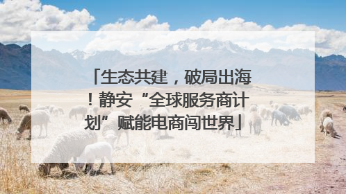 生态共建，破局出海！静安“全球服务商计划”赋能电商闯世界