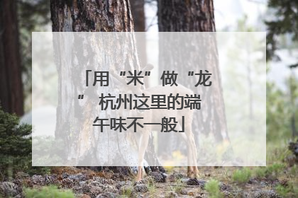 用“米”做“龙” 杭州这里的端午味不一般