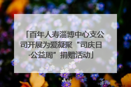 百年人寿淄博中心支公司开展为爱凝聚“司庆日·公益周”捐赠活动